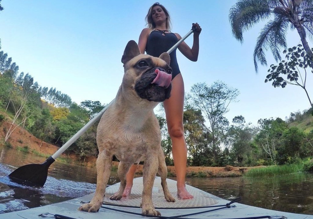 O exercício ideal para fazer com o seu cão