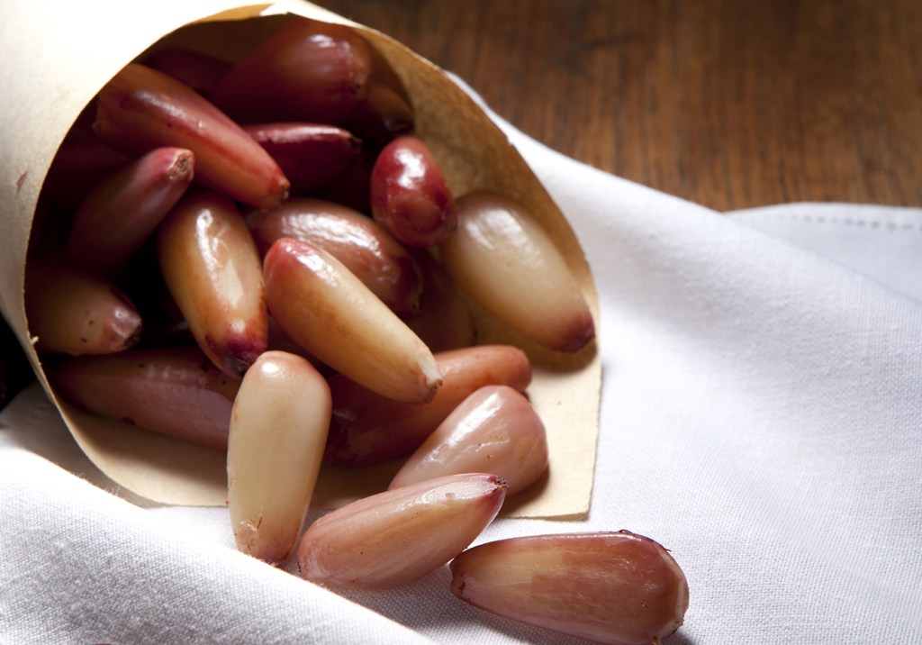 Pinhão: energia extra