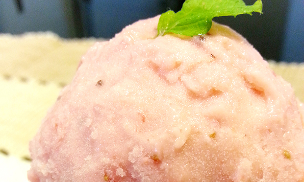 Sorvete de banana e morango com biomassa de banana verde Sorvete de banana e morango com biomassa de banana verde