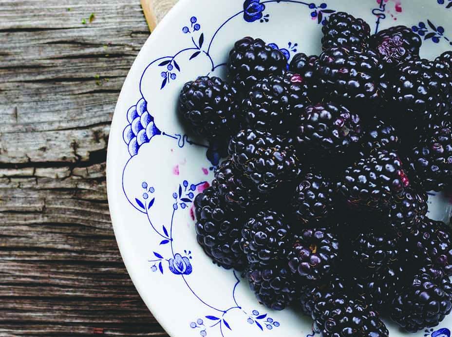Chá de amora: sabor, benefícios e como preparar a bebida perfeita