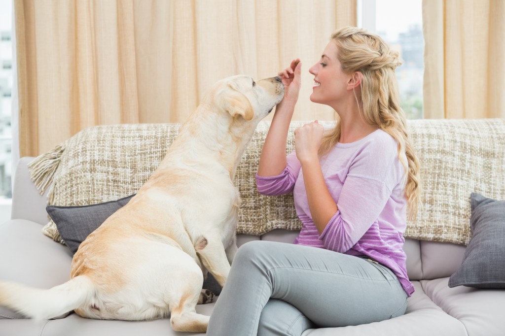 Cachorro que fareja glúten na comida presta ajuda à dona celíaca