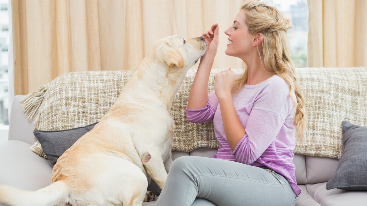 Mulher com cachorro