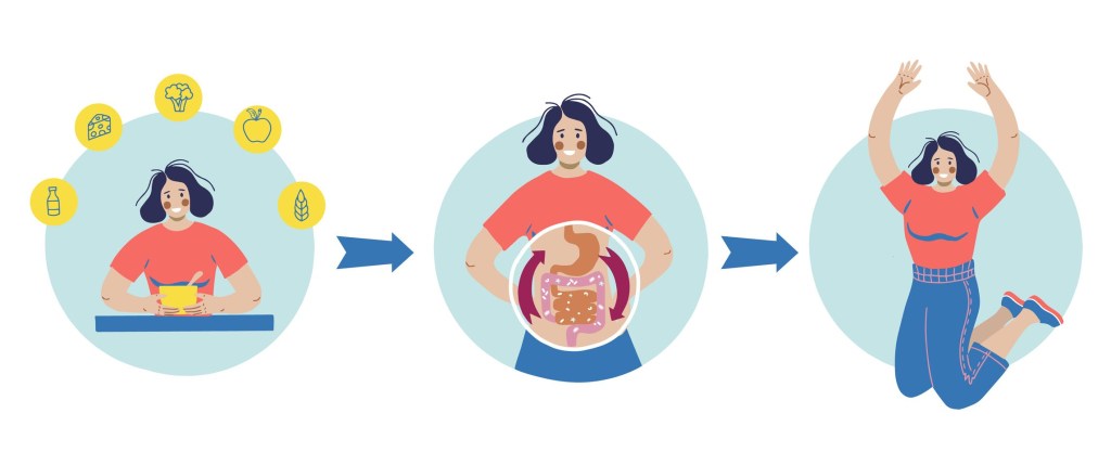 Probiotic health benefits vector infographic. Hand drawn illustration about probiotics influence to human body. Probiotic health benefits vector infographic. Hand drawn illustration about probiotics influence to human body.