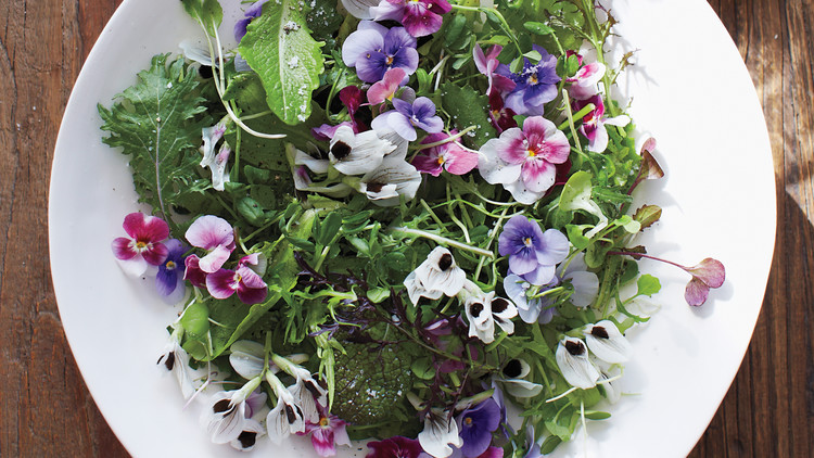 Receitas com flores comestíveis