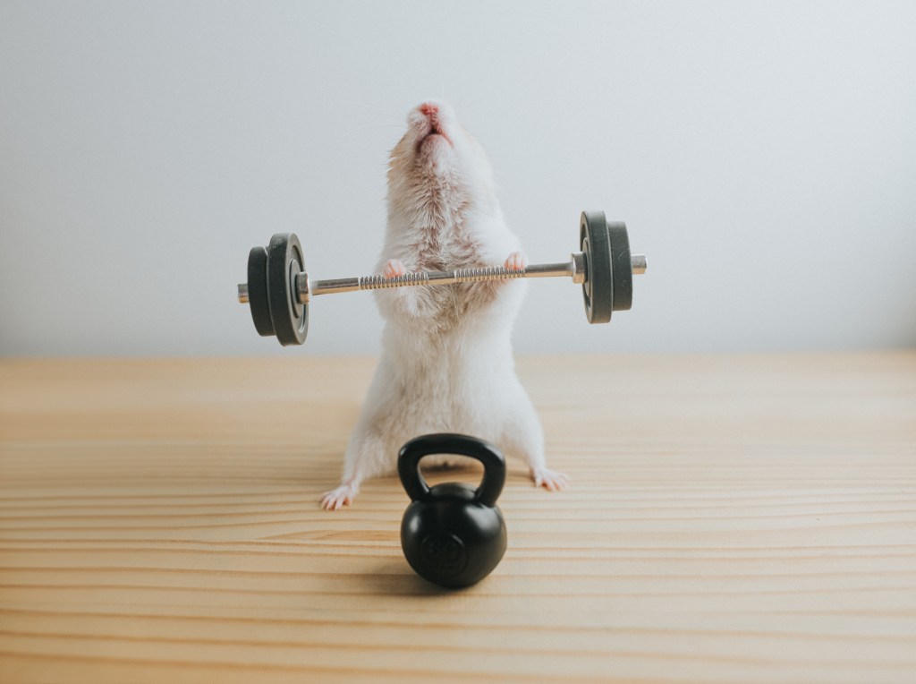 Pesos leves X pesados nos treinos. Qual a diferença?