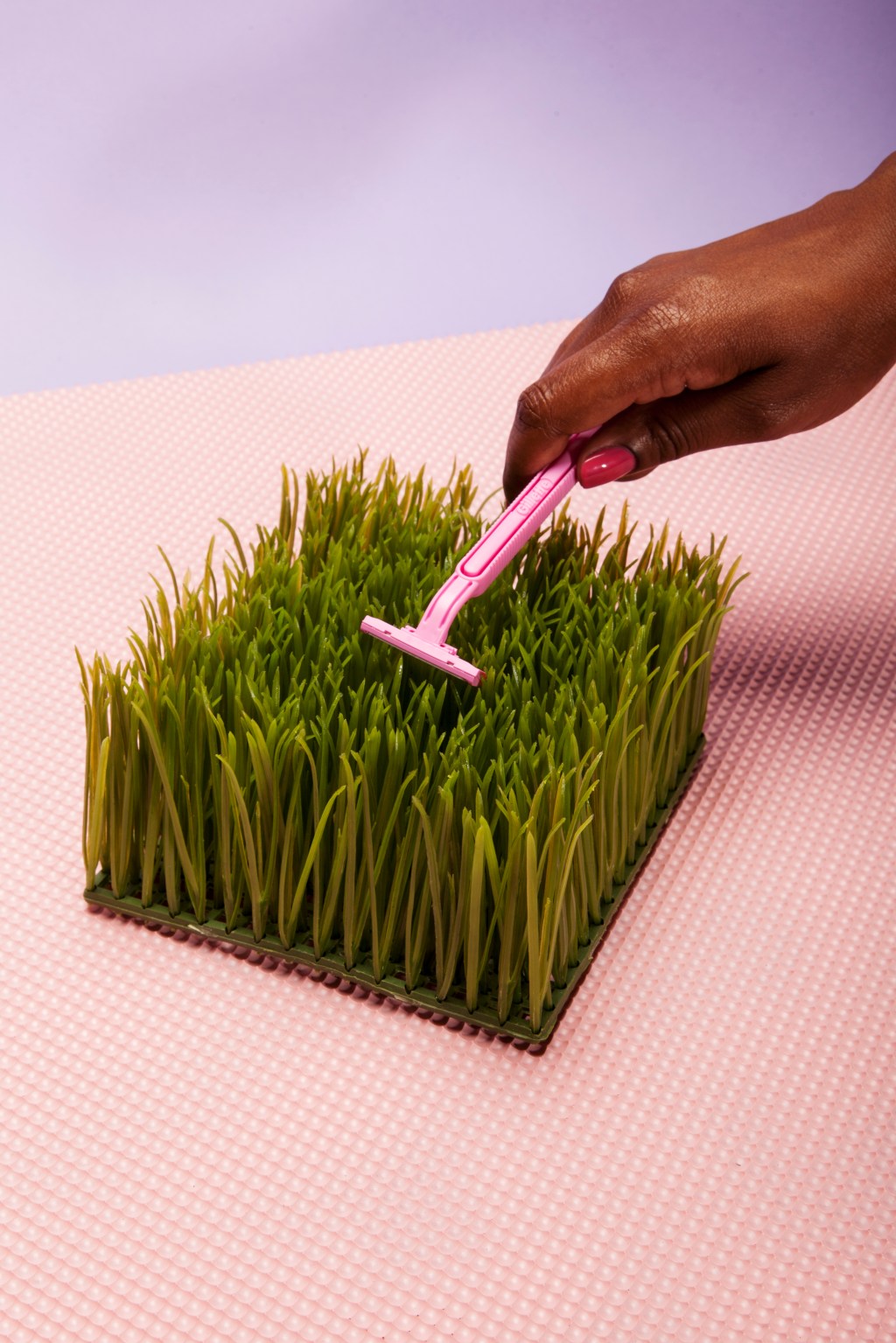 Como raspar a virilha sem encravar