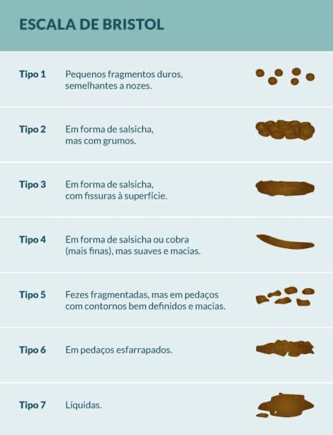 Ilustração escala de bristol