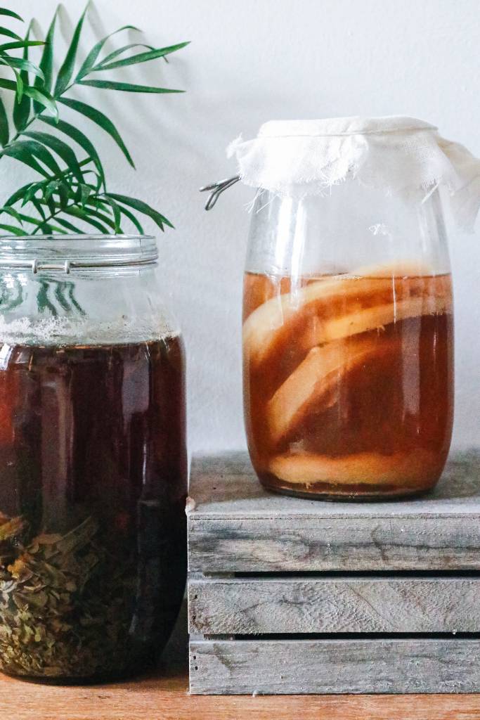 kombucha caseiro Imagem meramente ilustrativa