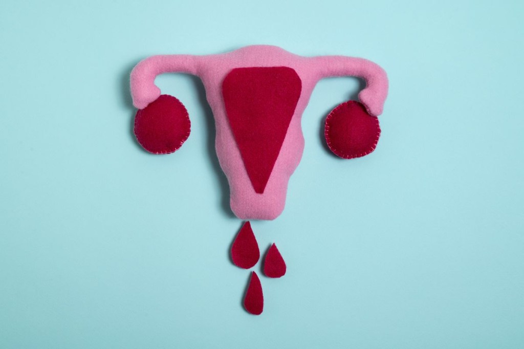 Quanto tempo dura a menstruação?