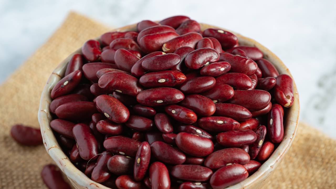 Veja como preparar salada de feijão vermelho para variar no consumo dos grãos