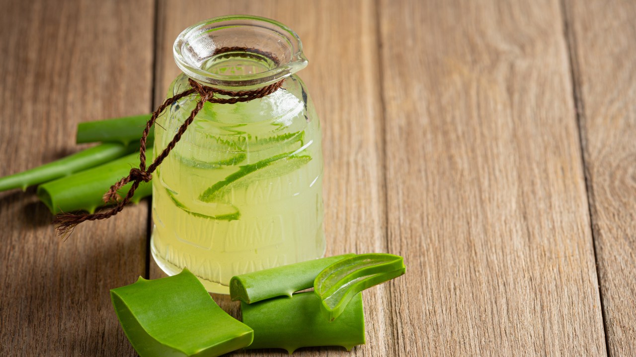 Saiba como o suco de babosa pode contribuir com a saúde