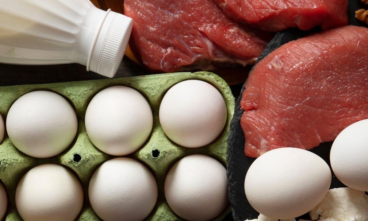 Como saber quanta proteína preciso ingerir por dia