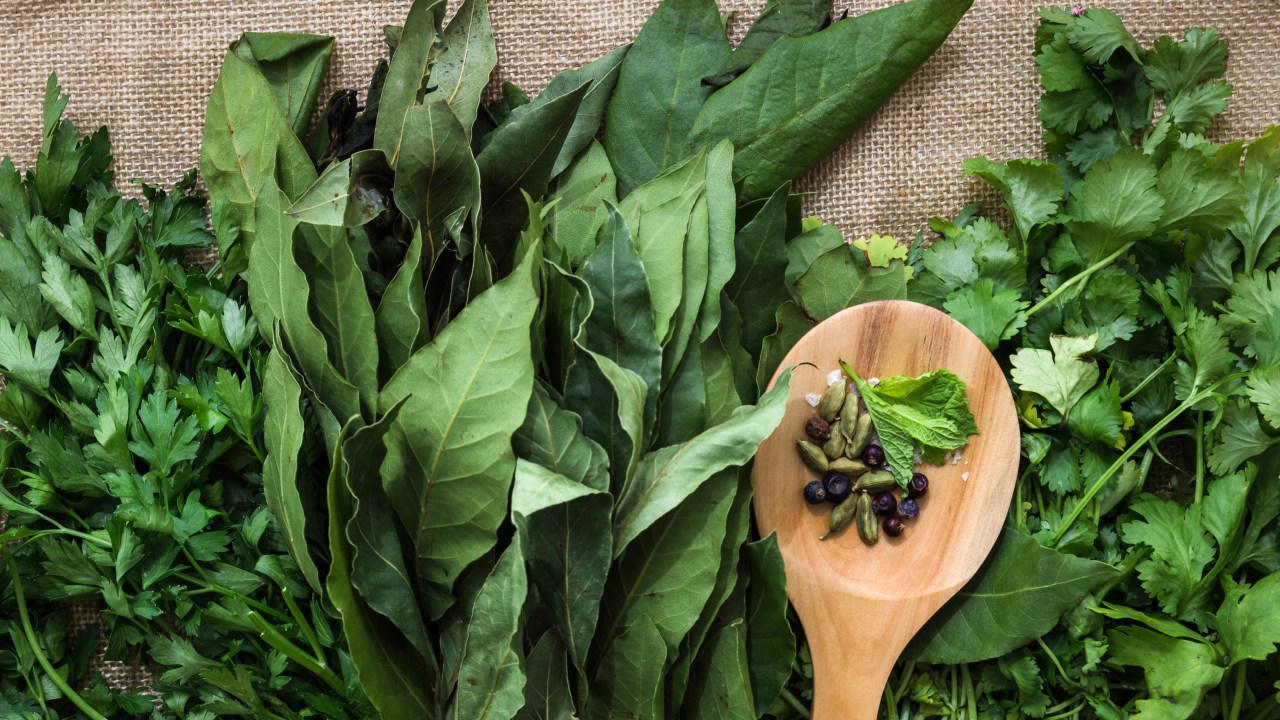 Confira o que são as PANCs e como adicioná-las à alimentação