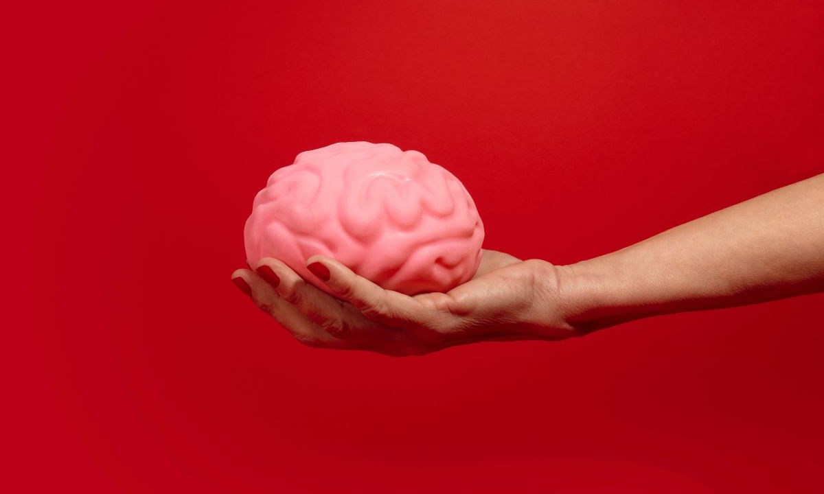 cérebro na menopausa