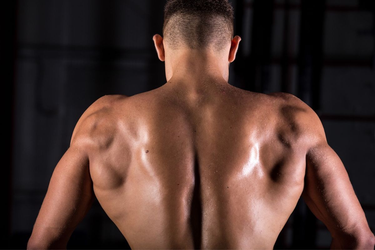 Pulldown unilateral: o segredo para costas mais fortes e equilibradas